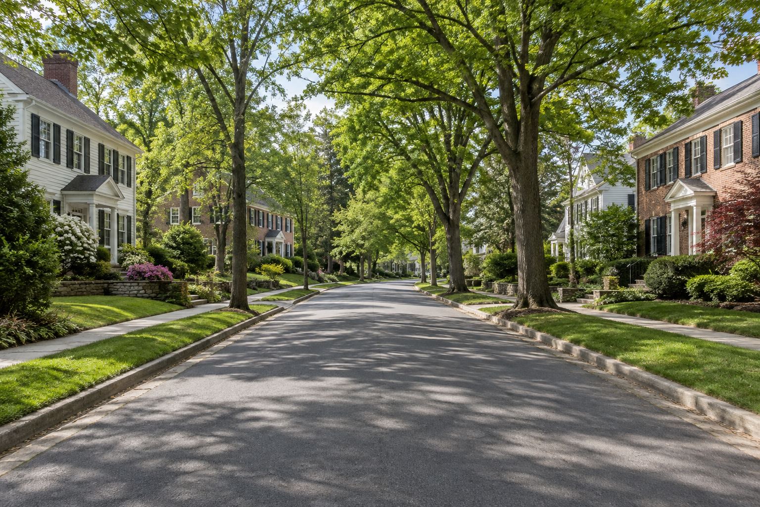 A Bethesda, Maryland residential street, illustrative